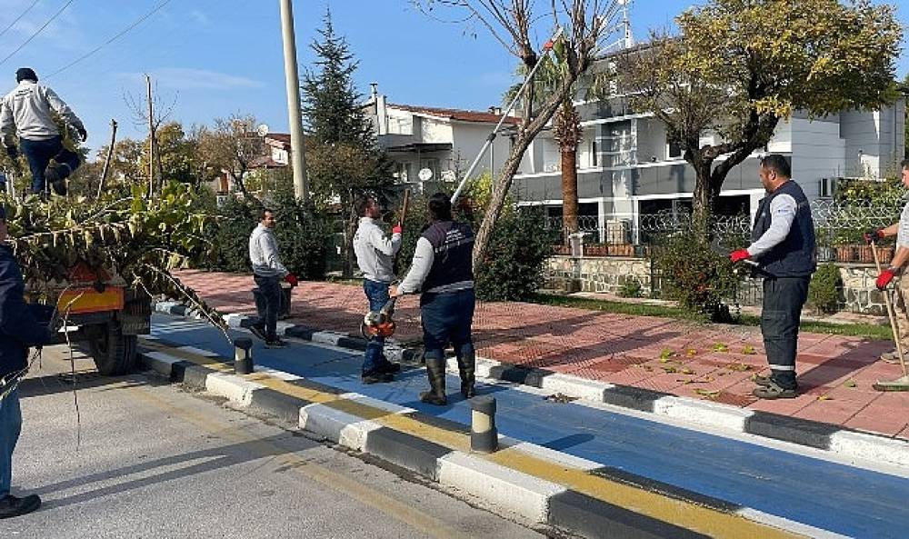 Büyükşehir Kent Genelinde Budama Çalışmalarına Devam Ediyor