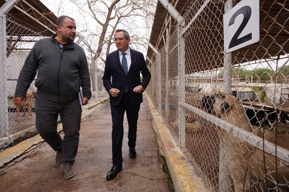 Balıkesir  Ayvalık can dostların yanında