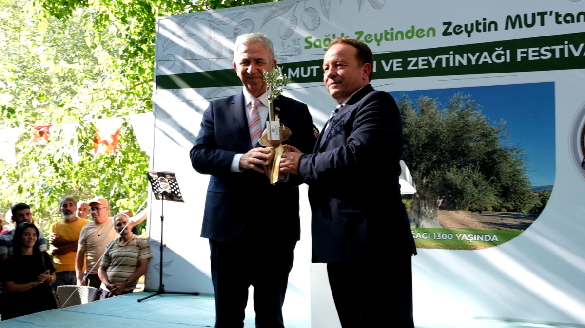 1.Mut Zeytin ve Zeytinyağı Festivali başladı